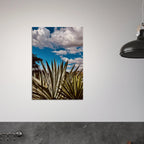 Stunning canvas artwork of Oaxaca Desert mezcal plantation from the Travel Collection, Spring '26 edition.