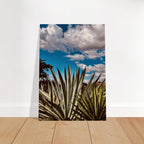 Stunning canvas artwork of Oaxaca Desert mezcal plantation from the Travel Collection, Spring '26 Studio Edition.