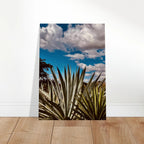 Canvas artwork depicting the Oaxaca Desert mezcal plantation from the Spring '26 travel collection by My Store.