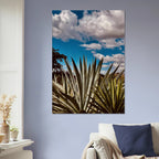 Canvas artwork featuring Oaxaca Desert mezcal plantation from the Spring '26 travel collection by My Store.