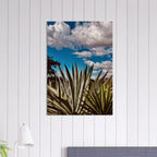 Oaxaca Desert canvas artwork featuring mezcal plantation from the Spring' 26 travel collection by My Store.