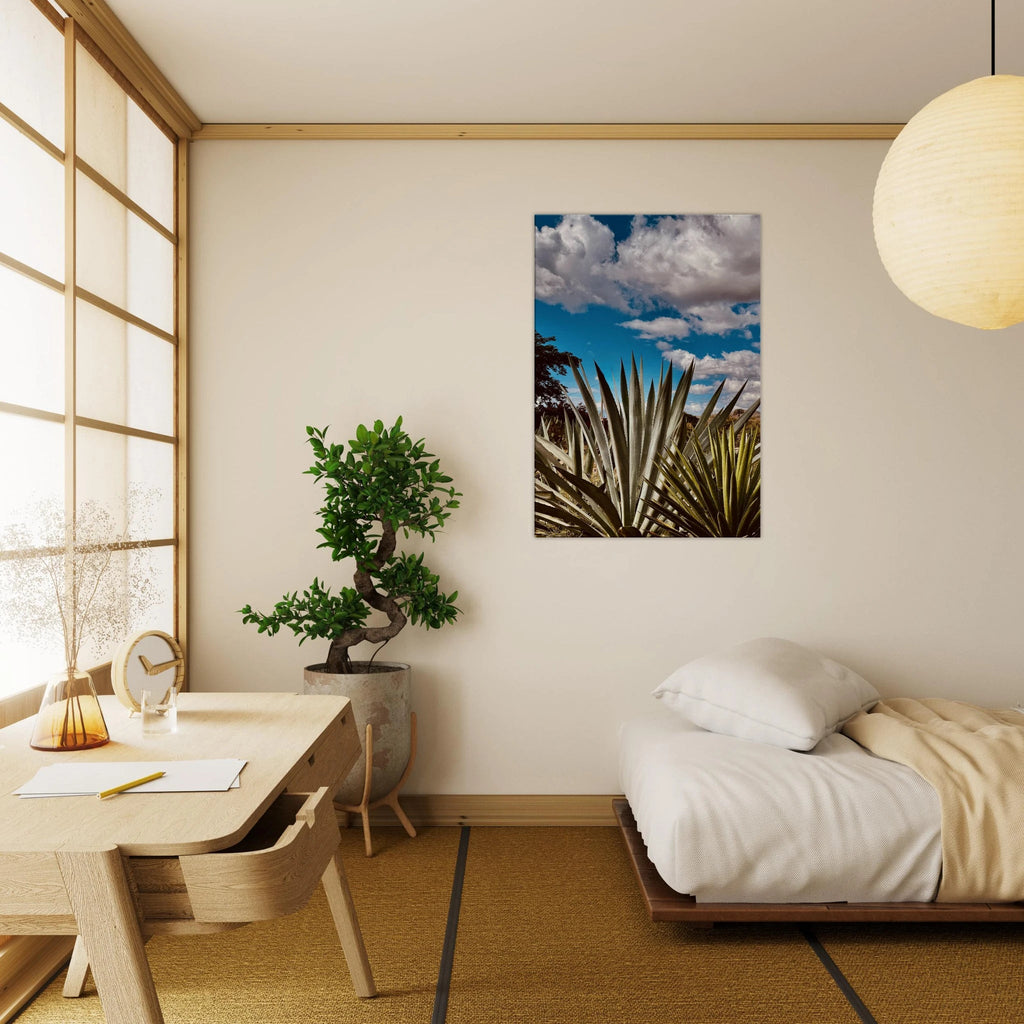 Stunning canvas artwork of Oaxaca Desert mezcal plantation from Travel Collection, Spring '26 edition by My Store.