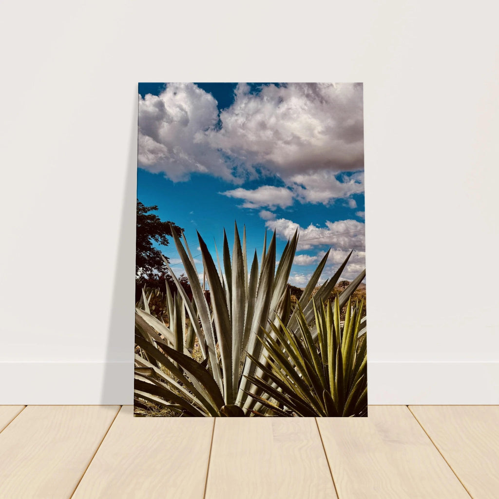 Stunning Oaxaca Desert canvas artwork featuring a mezcal plantation from the Spring '26 travel collection.