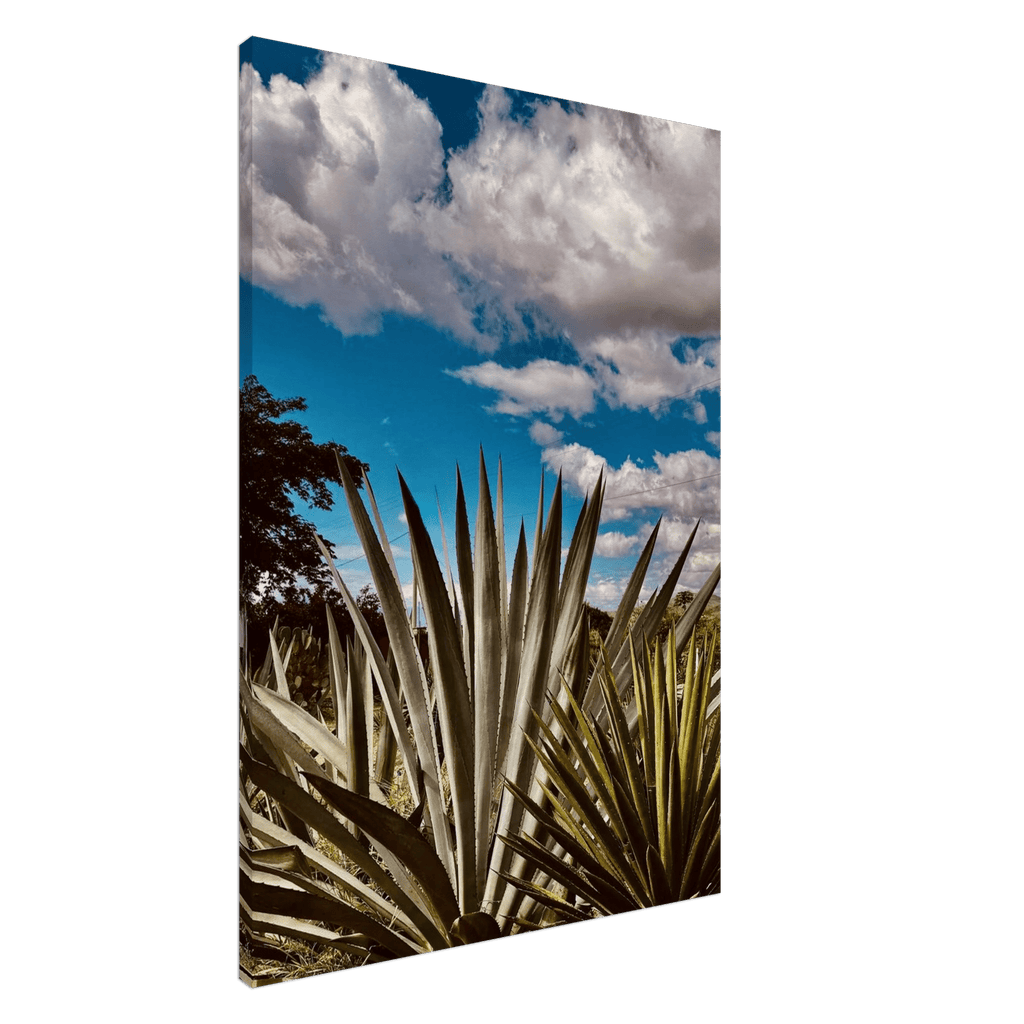 Canvas artwork depicting the Oaxaca Desert mezcal plantation from the travel collection, Studio Edition, Spring '26.