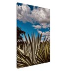 Canvas artwork depicting the Oaxaca Desert mezcal plantation from the travel collection, Studio Edition, Spring '26.