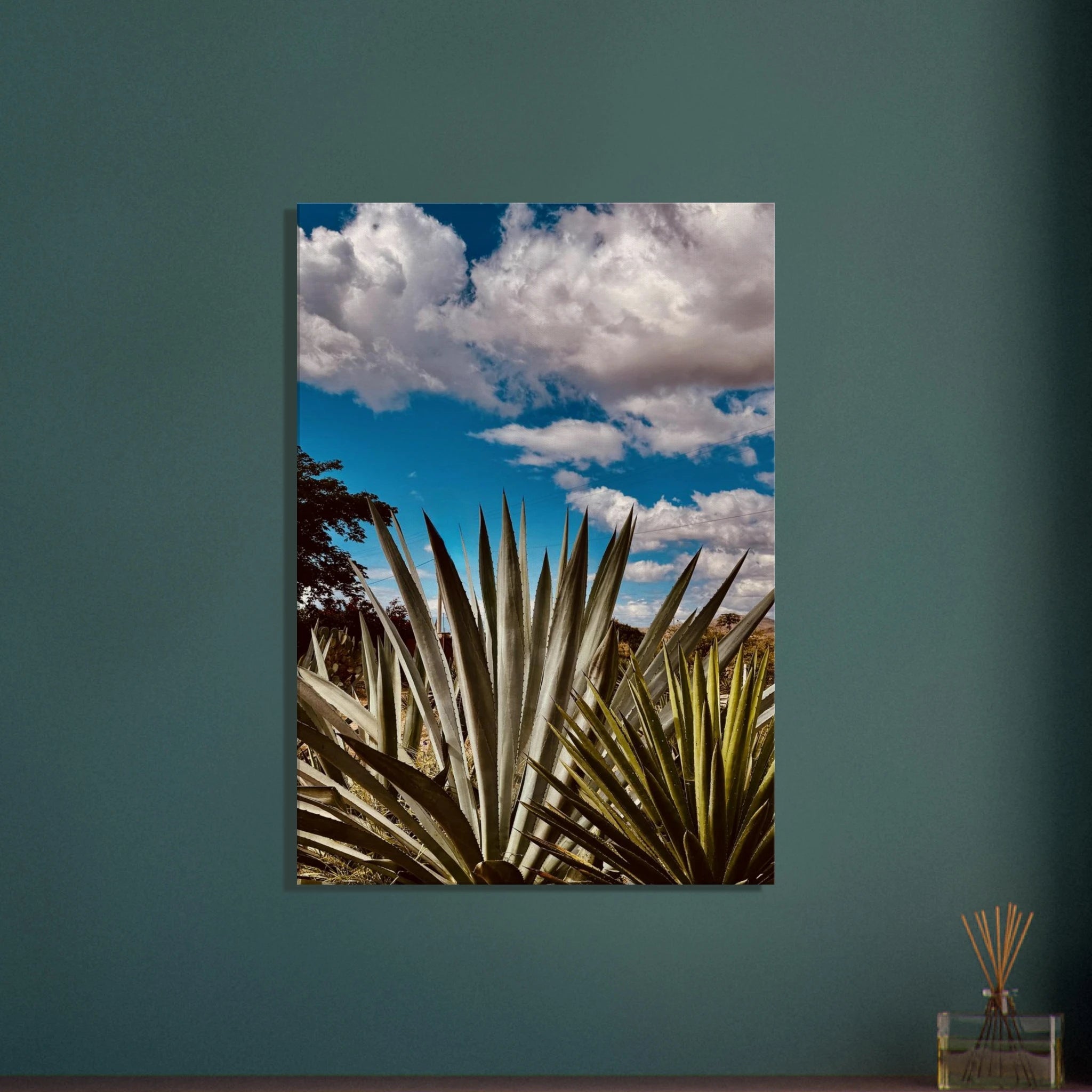 Vibrant canvas print of Oaxaca Desert mezcal plantation from travel collection by My Store, showcasing stunning desert landscape.