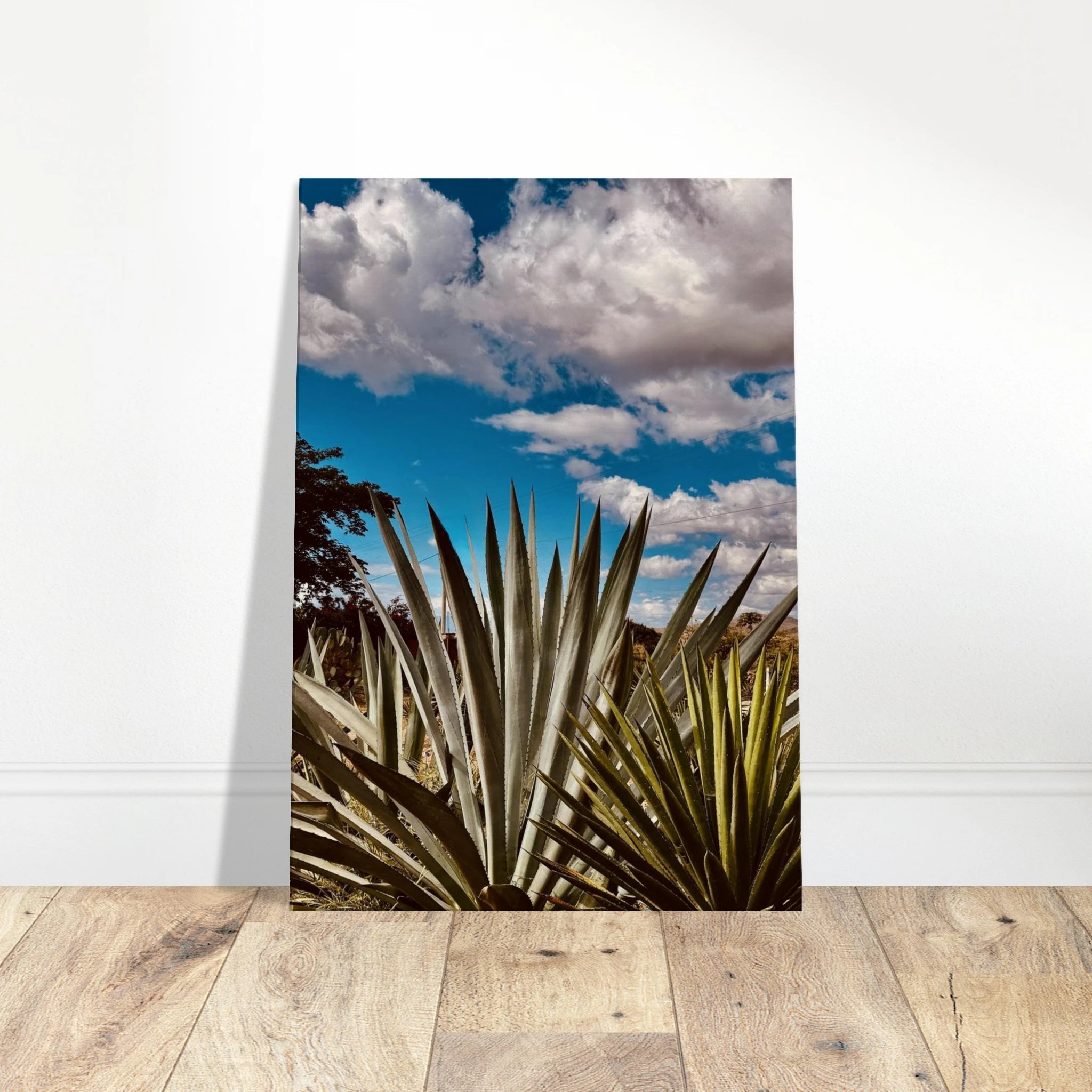 Vibrant Oaxaca Desert canvas artwork featuring mezcal plantations from the Travel Collection by My Store, Spring '26 edition.