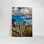 Oaxaca Desert canvas artwork featuring mezcal plantation from the Studio Edition travel collection, Spring '26.