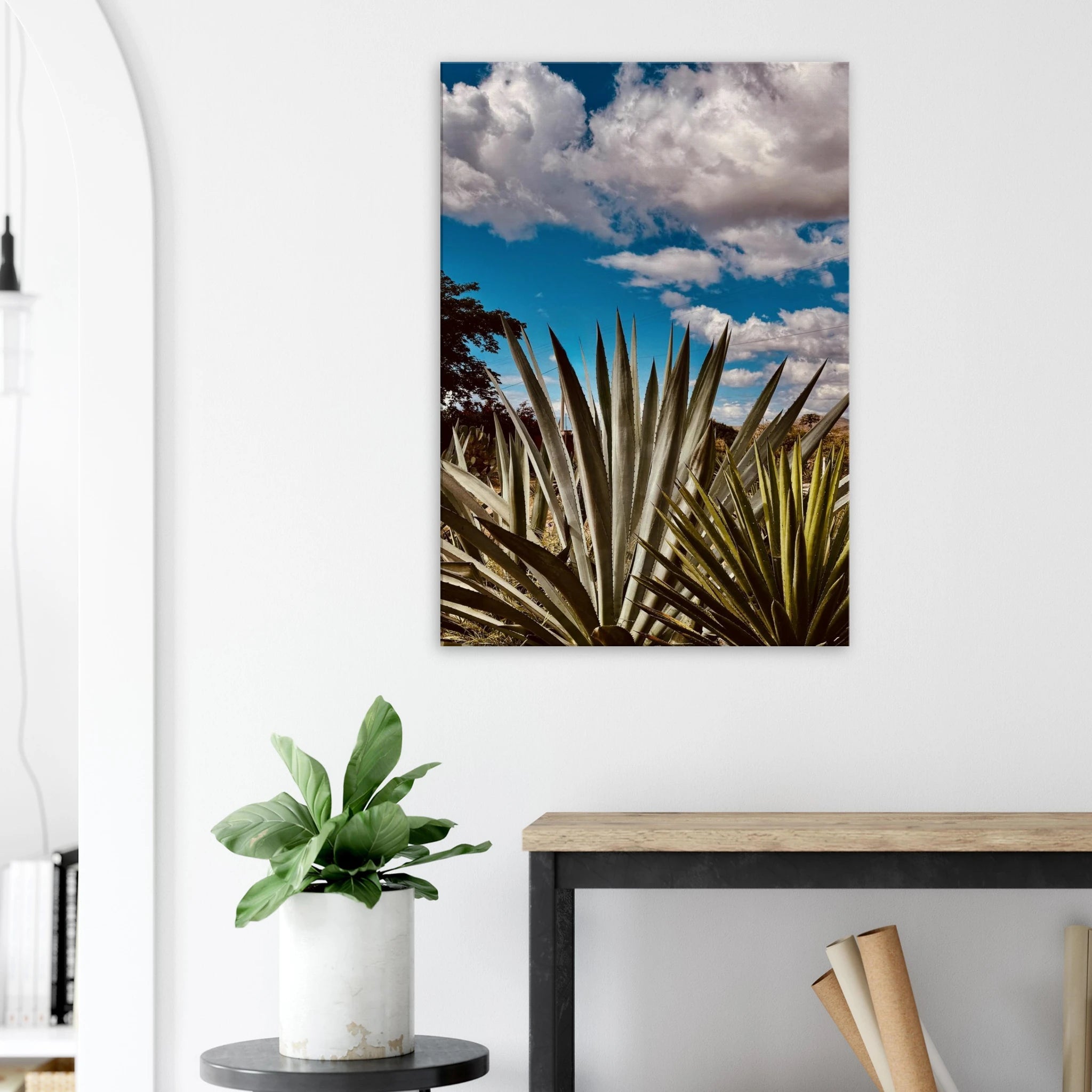 Oaxaca Desert canvas artwork featuring mezcal plantation from travel collection, Studio Edition Spring '26.