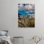 Oaxaca Desert canvas artwork featuring a mezcal plantation from the Spring '26 travel collection by My Store.