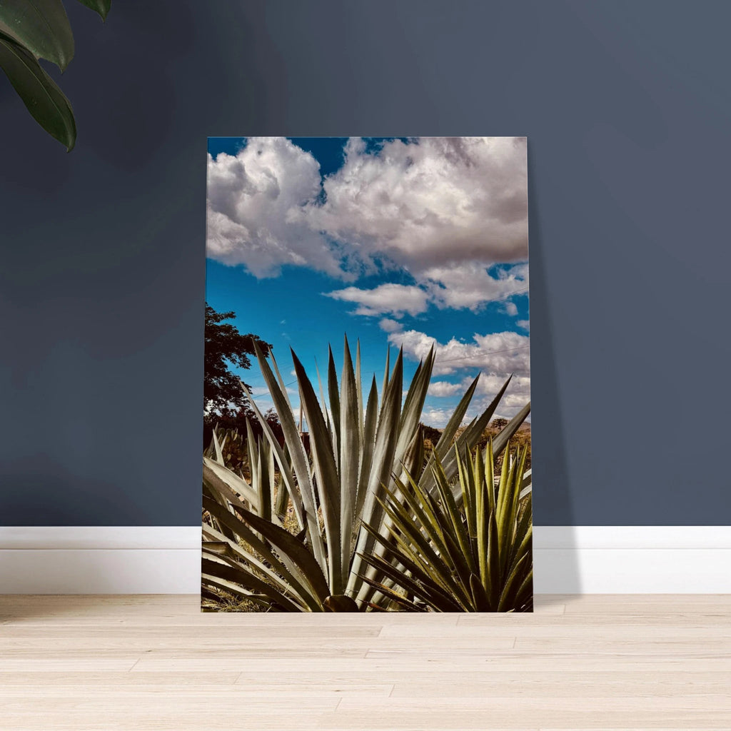Canvas artwork featuring the Oaxaca Desert mezcal plantation from the travel collection by My Store, Spring '26 edition.