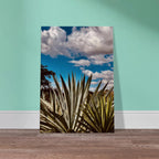 Oaxaca Desert canvas artwork featuring mezcal plantation from the travel collection by My Store, Spring '26 edition.