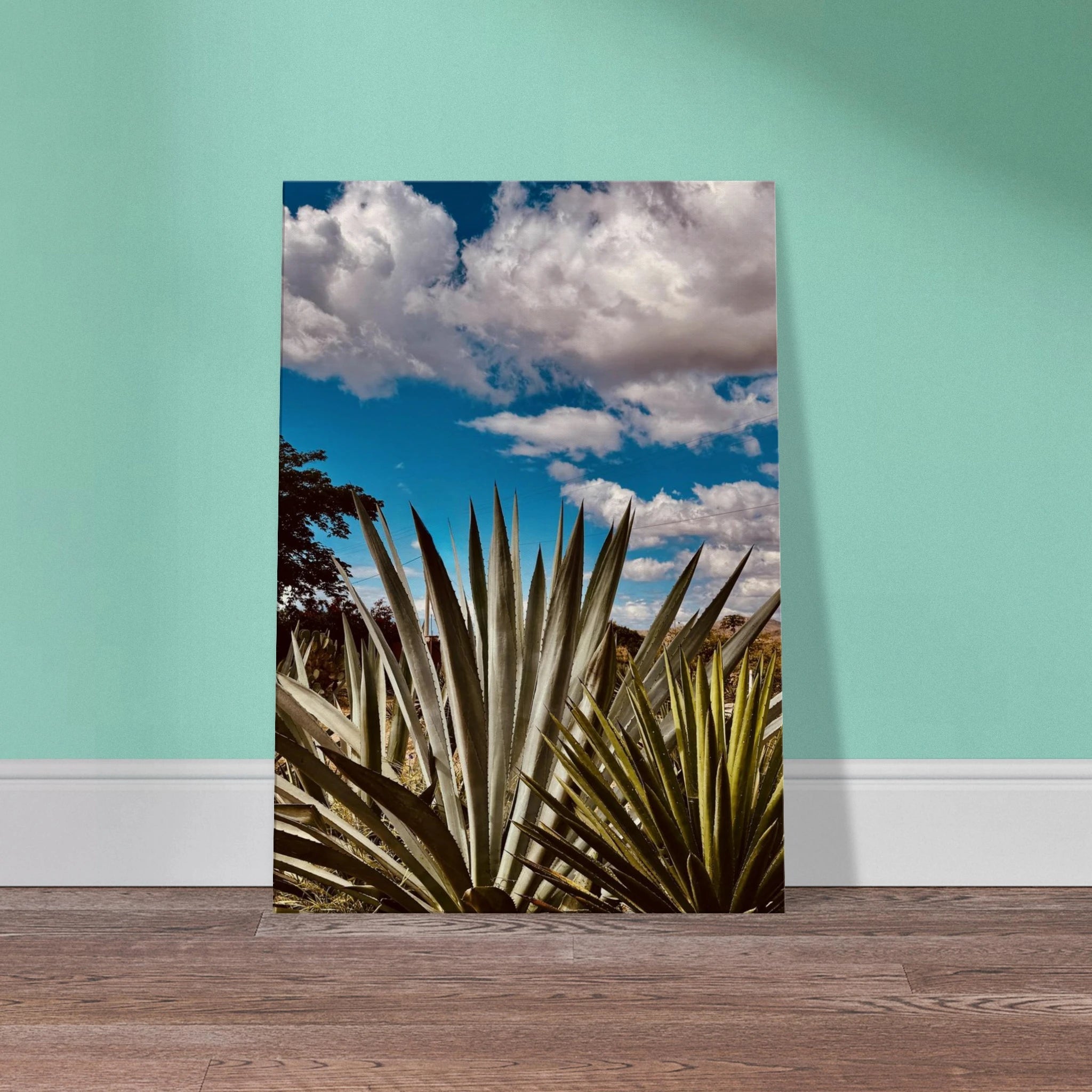 Oaxaca Desert canvas artwork featuring mezcal plantation from the travel collection by My Store, Spring '26 edition.
