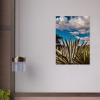 Oaxaca Desert canvas artwork featuring mezcal plantation, part of the Spring '26 travel collection by Studio Edition.