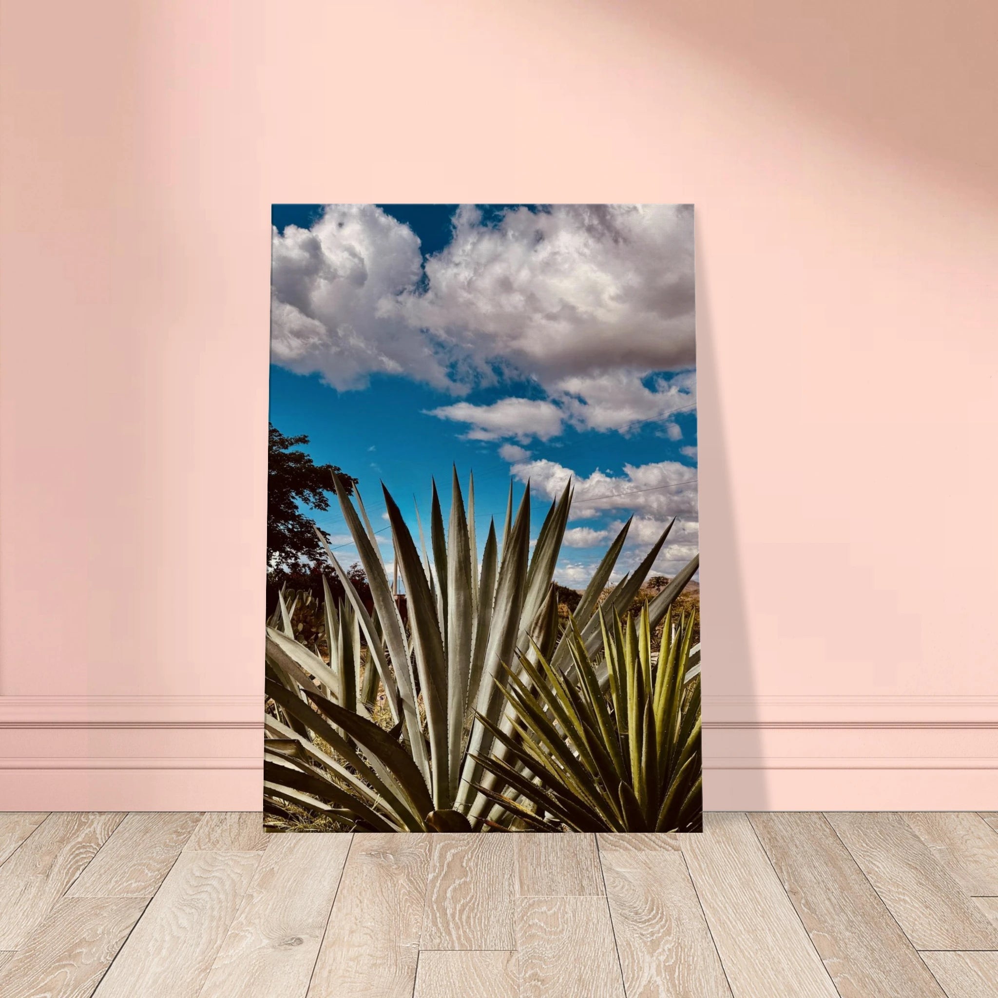 Vibrant canvas artwork of Oaxaca Desert mezcal plantation from Studio Edition travel collection.