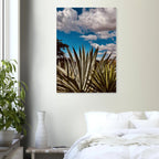 Oaxaca Desert canvas artwork featuring a mezcal plantation from the Travel Collection, Studio Edition Spring '26.