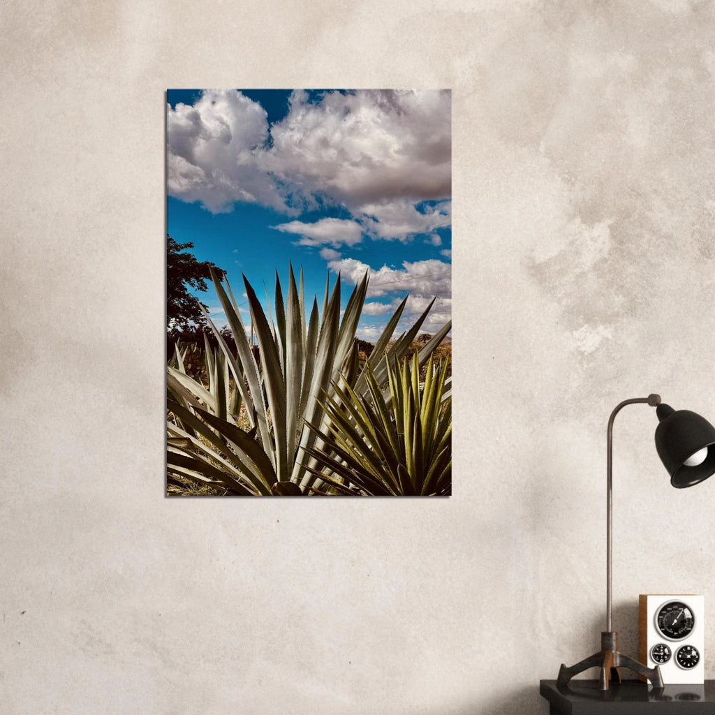 Oaxaca Desert canvas artwork depicting a mezcal plantation from the Spring '26 travel collection by Studio Edition.