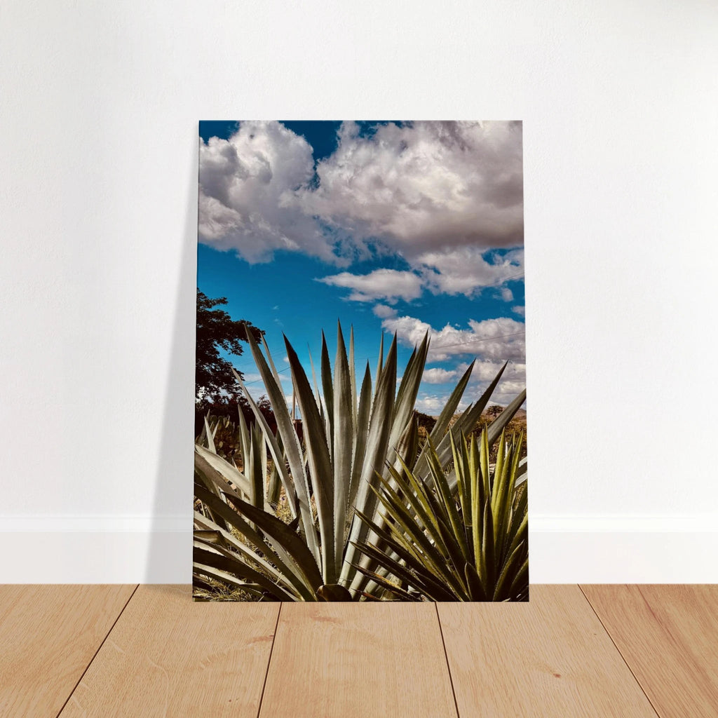 Canvas artwork depicting the Oaxaca Desert and mezcal plantation from the Spring '26 travel collection by My Store.