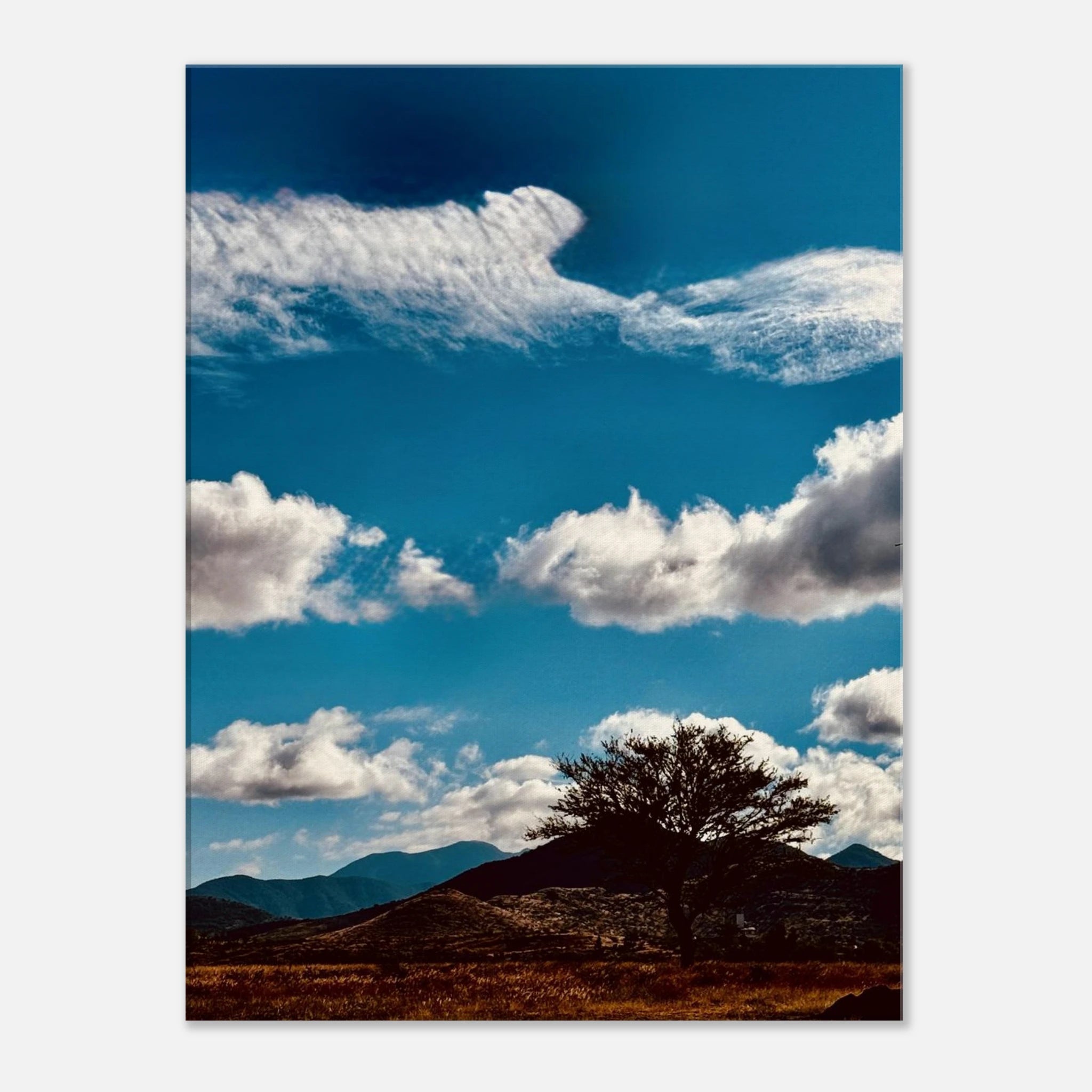 Oaxaca Mountains canvas artwork featuring vibrant colors from My Store's Spring '26 travel collection studio edition.