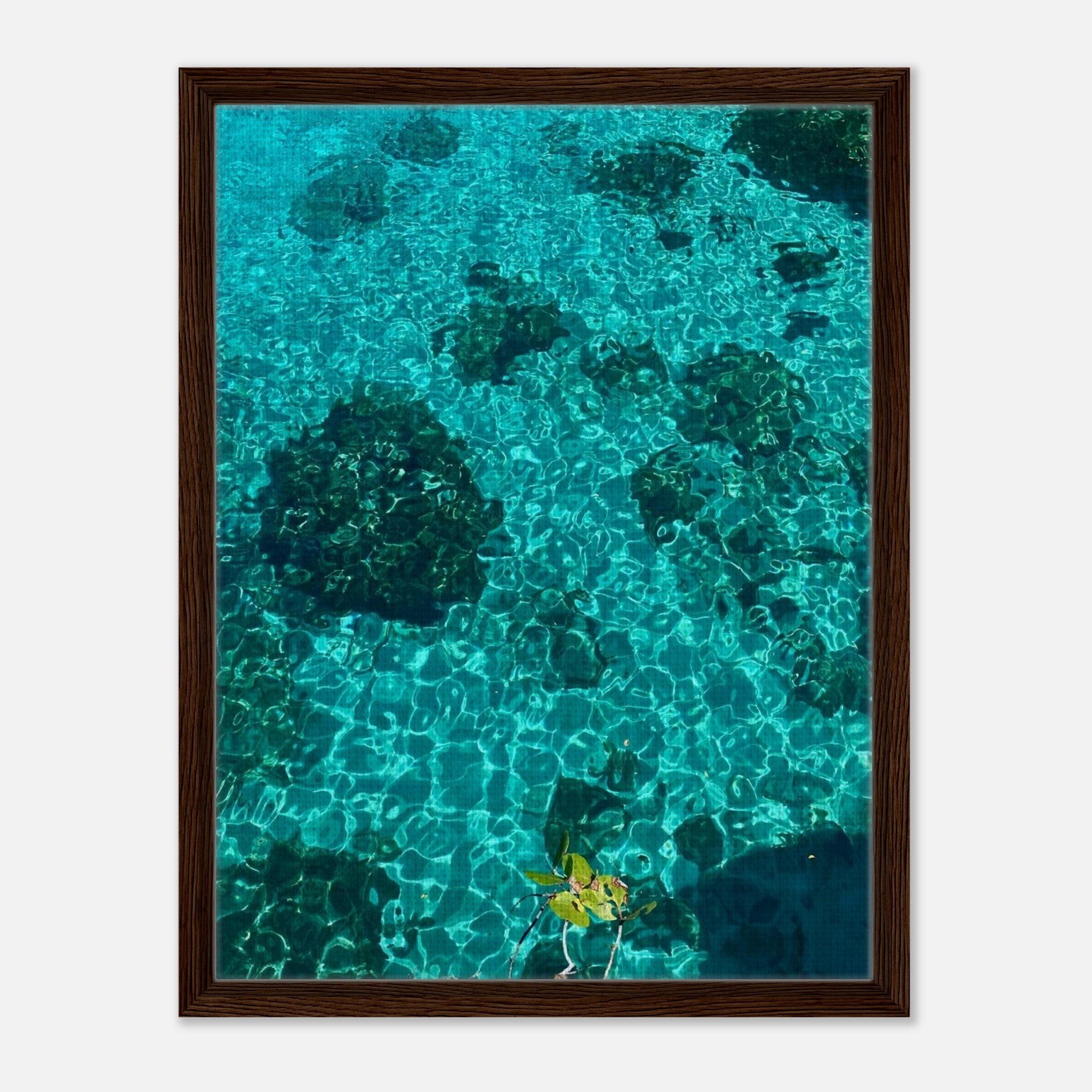 Framed tropical summer canvas print featuring vibrant coastal art, natural décor from the Travel Collection, Studio Edition.
