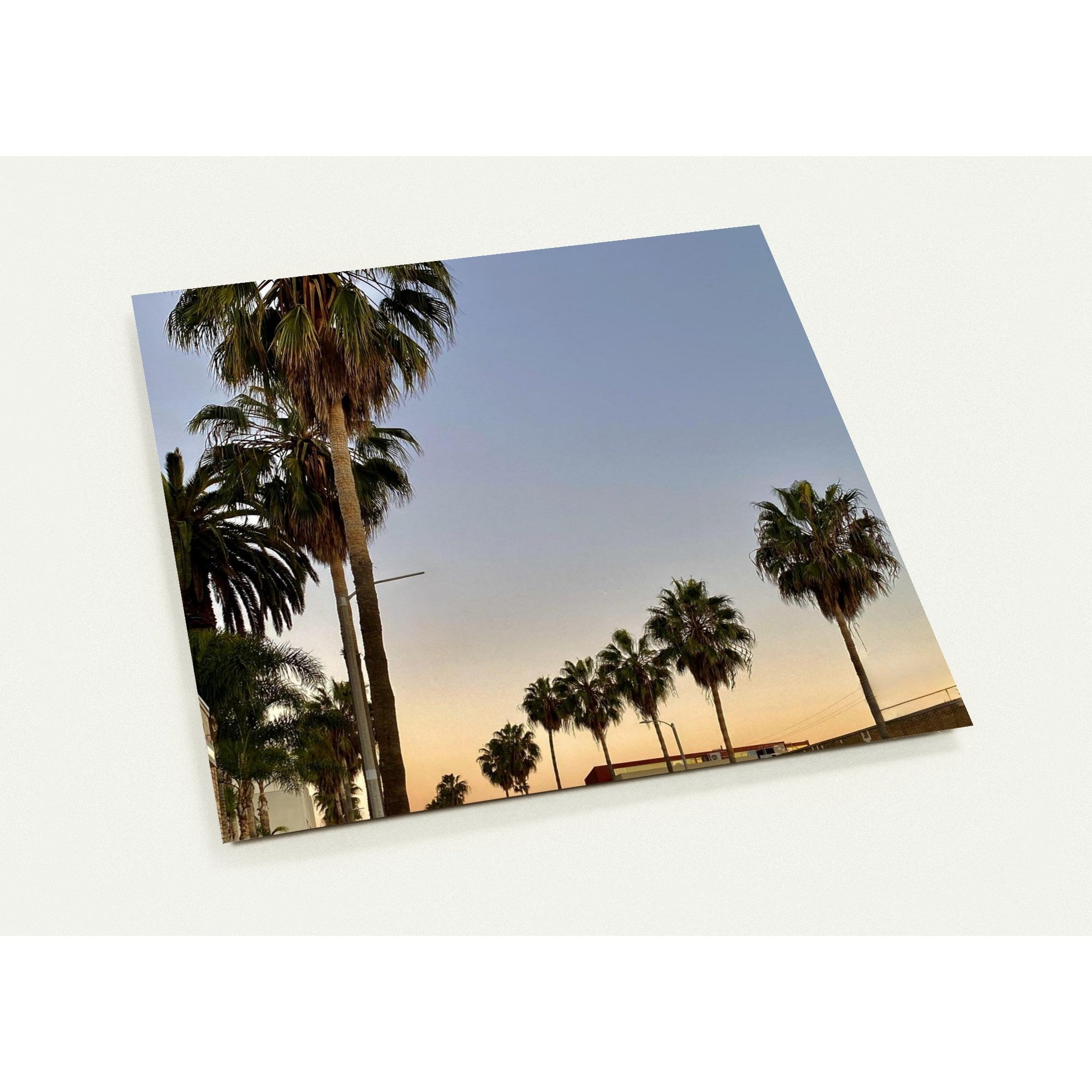 Set of 10 Venice Beach greeting cards featuring SoCal vibes printed on high-quality material, perfect for sending coastal-inspired messages.