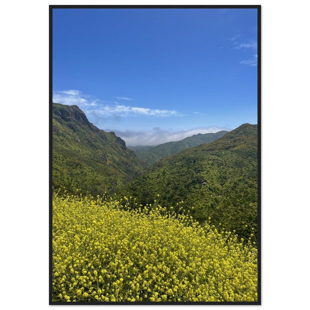 Malibu Canyon Wildflowers wooden framed poster on museum-quality matte paper wall art, featuring California floral scene.