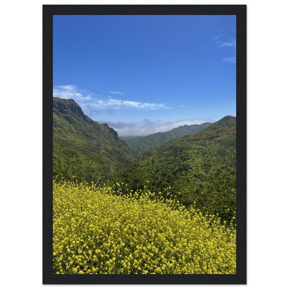 Wooden framed Malibu Canyon Wildflowers poster on museum-quality matte paper wall art showcasing California nature scene.
