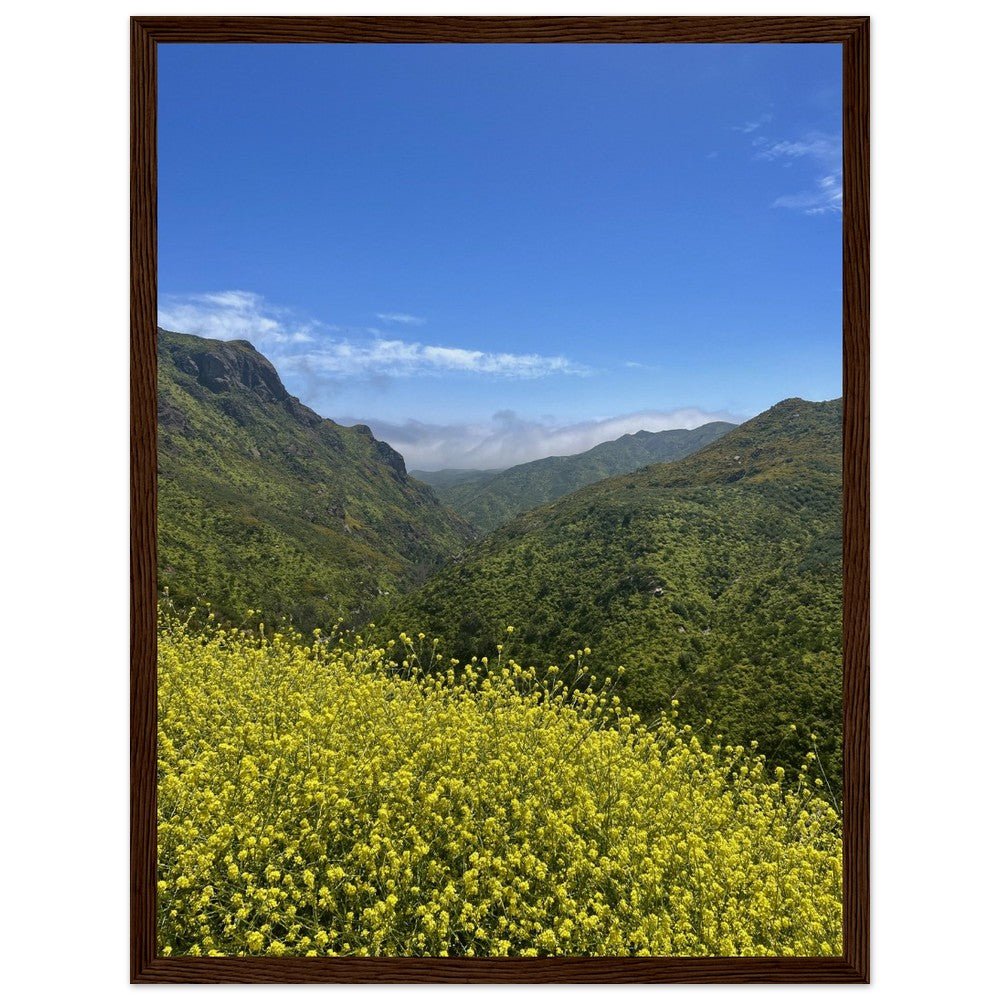 Wooden framed poster of Malibu Canyon wildflowers on museum-quality matte paper wall art, featuring California native wildflower artwork.
