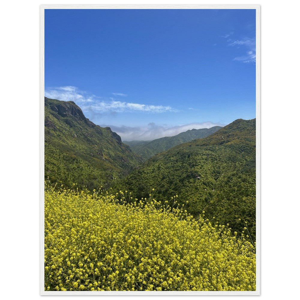 Wooden-framed Malibu Canyon Wildflowers poster on museum-quality matte paper wall art, featuring California wildflower scenery and vibrant colors.