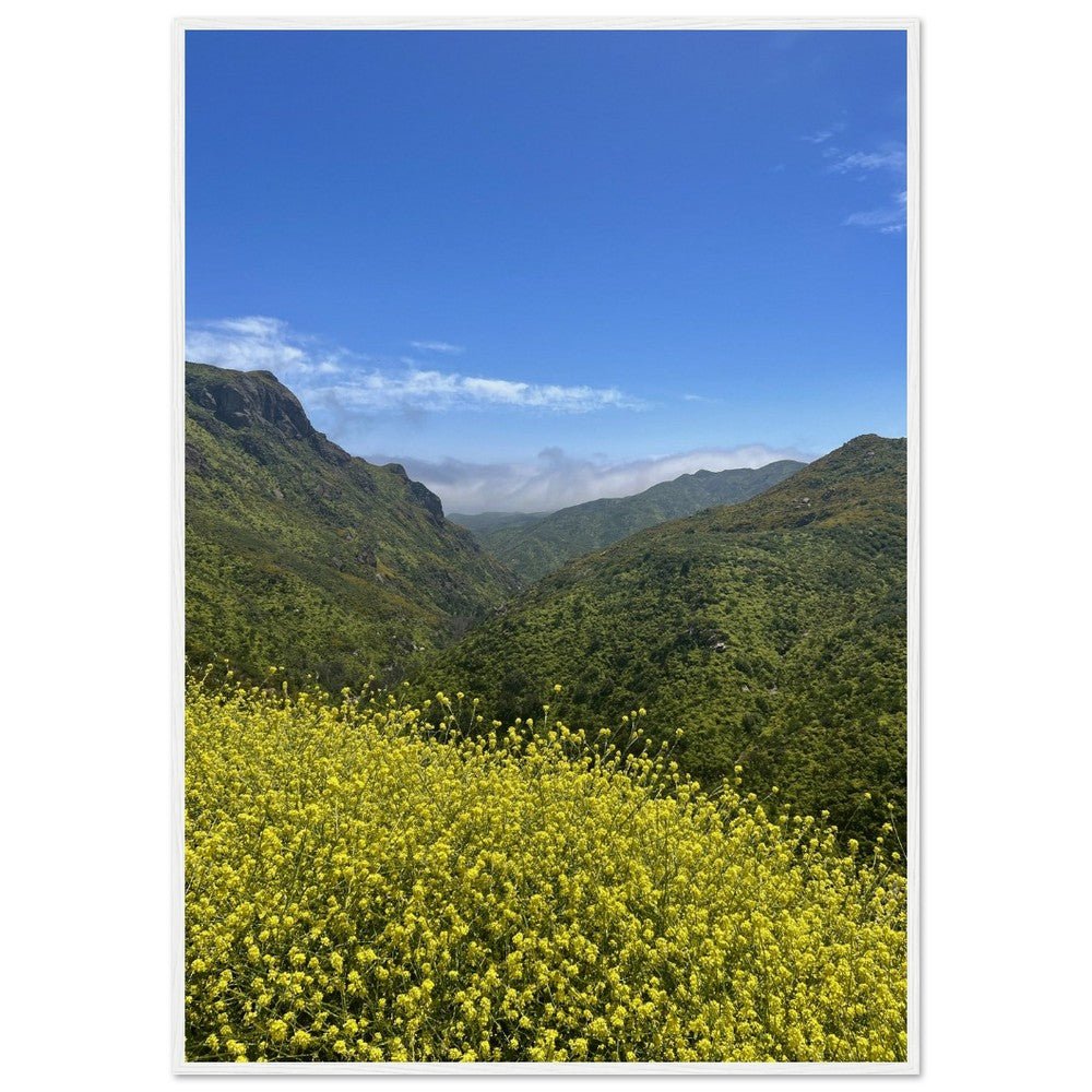 Wooden framed Malibu Canyon Wildflowers poster on museum-quality matte paper wall art, featuring California landscape photography.
