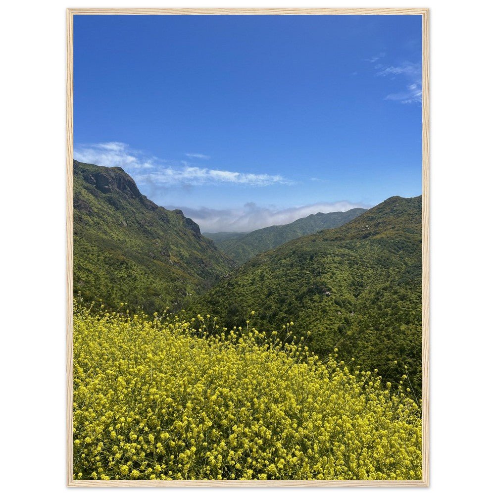 Wooden framed Malibu Canyon Wildflowers poster on museum-quality matte paper wall art, featuring California natural scenery.