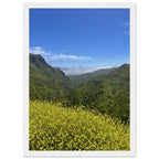 Wooden framed Malibu Canyon Wildflowers poster on museum-quality matte paper, California wall art, studio edition print.