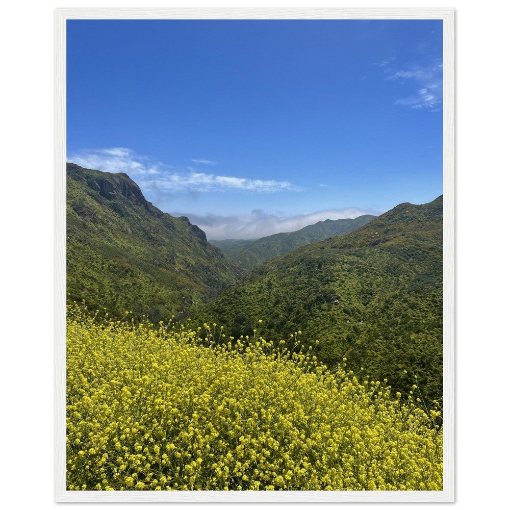 Wooden framed poster of Malibu Canyon wildflowers on museum-quality matte paper wall art, featuring California flower scene.