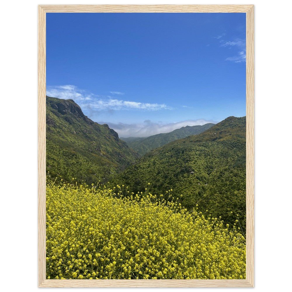Wooden framed Malibu Canyon Wildflowers poster on museum-quality matte paper wall art, featuring California wildflower scene.