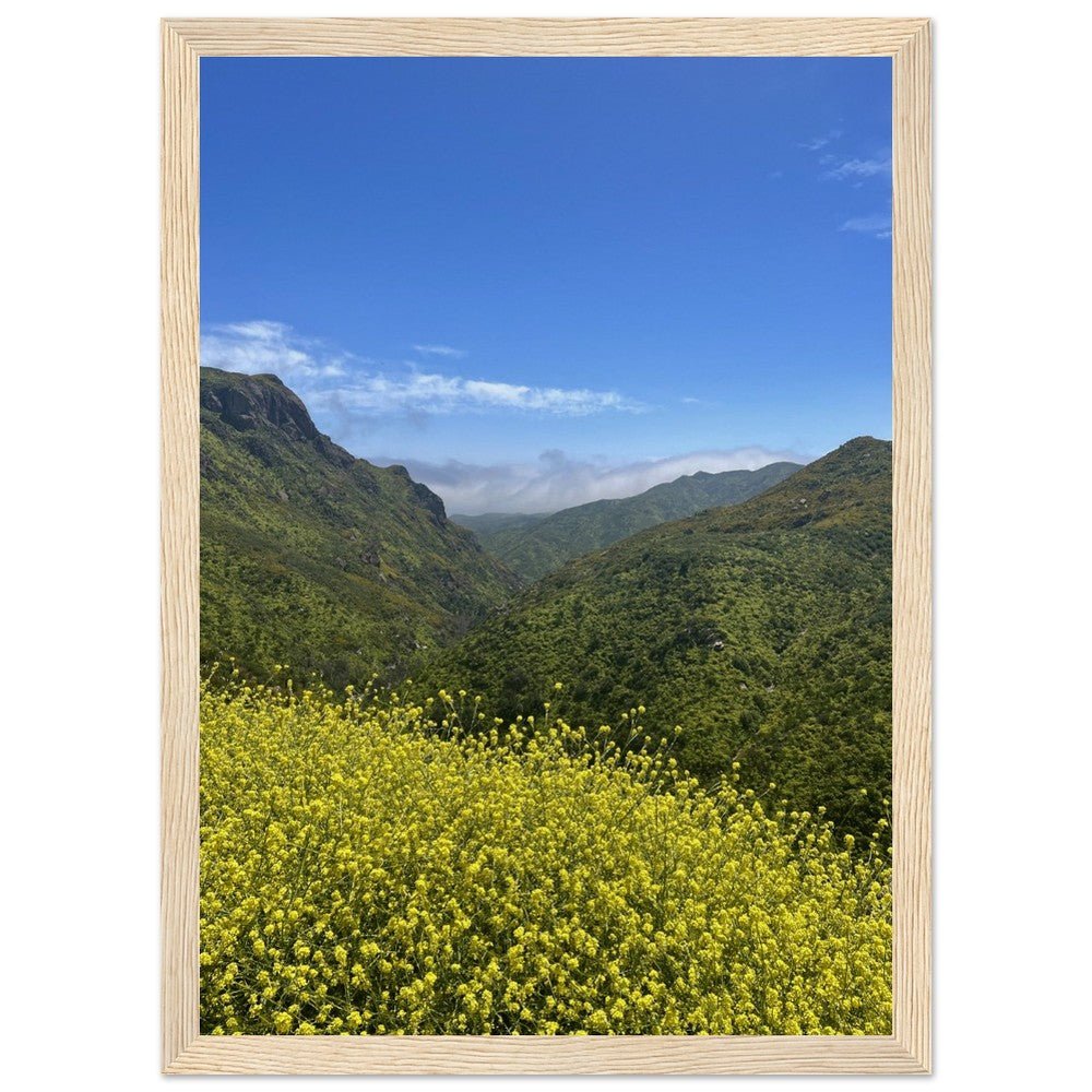 Wooden framed Malibu Canyon Wildflowers poster on museum-quality matte paper wall art, showcasing California natural scenery.