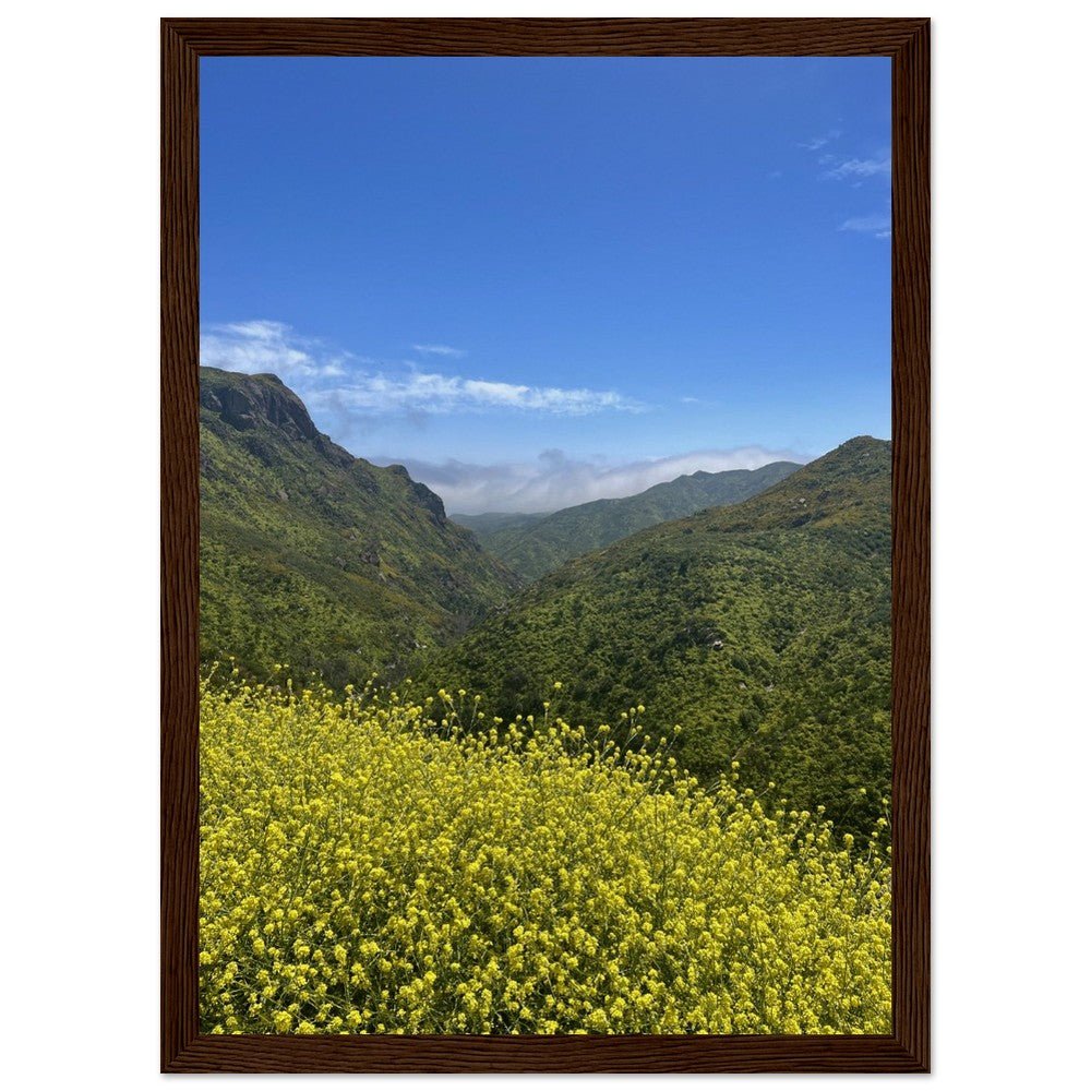 Wooden framed poster of Malibu Canyon wildflowers on museum-quality matte paper, California wall art by My Store.