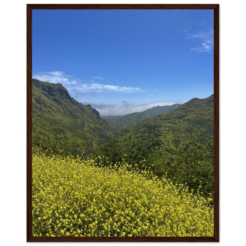 Wooden framed Malibu Canyon Wildflowers poster on museum-quality matte paper wall art, featuring California wildflower scene.