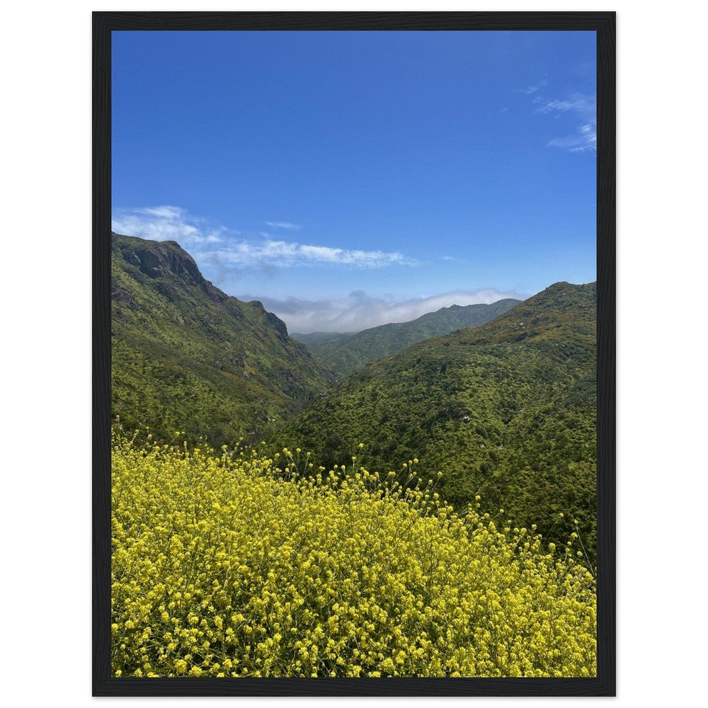 Wooden framed Malibu Canyon Wildflowers poster on museum-quality matte paper wall art, featuring California wildflower scene.