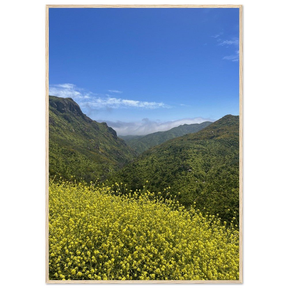 Wooden framed print of Malibu Canyon Wildflowers wall art on museum-quality matte paper, featuring California poster art.