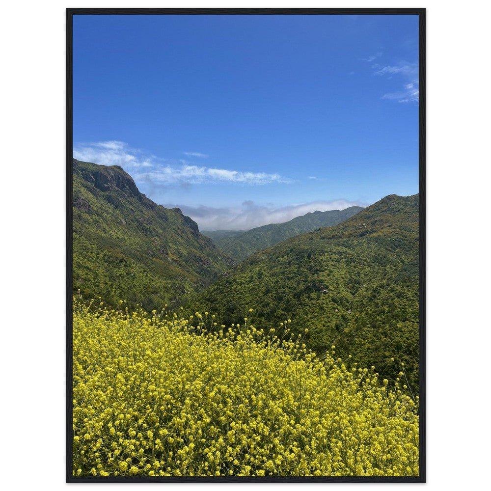 Wooden framed Malibu Canyon Wildflowers poster on museum-quality matte paper wall art showcasing California native flowers.