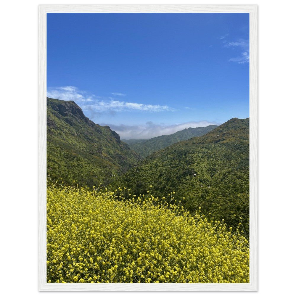 Wooden framed Malibu Canyon Wildflowers poster on museum-quality matte paper wall art, showcasing California native wildflowers.