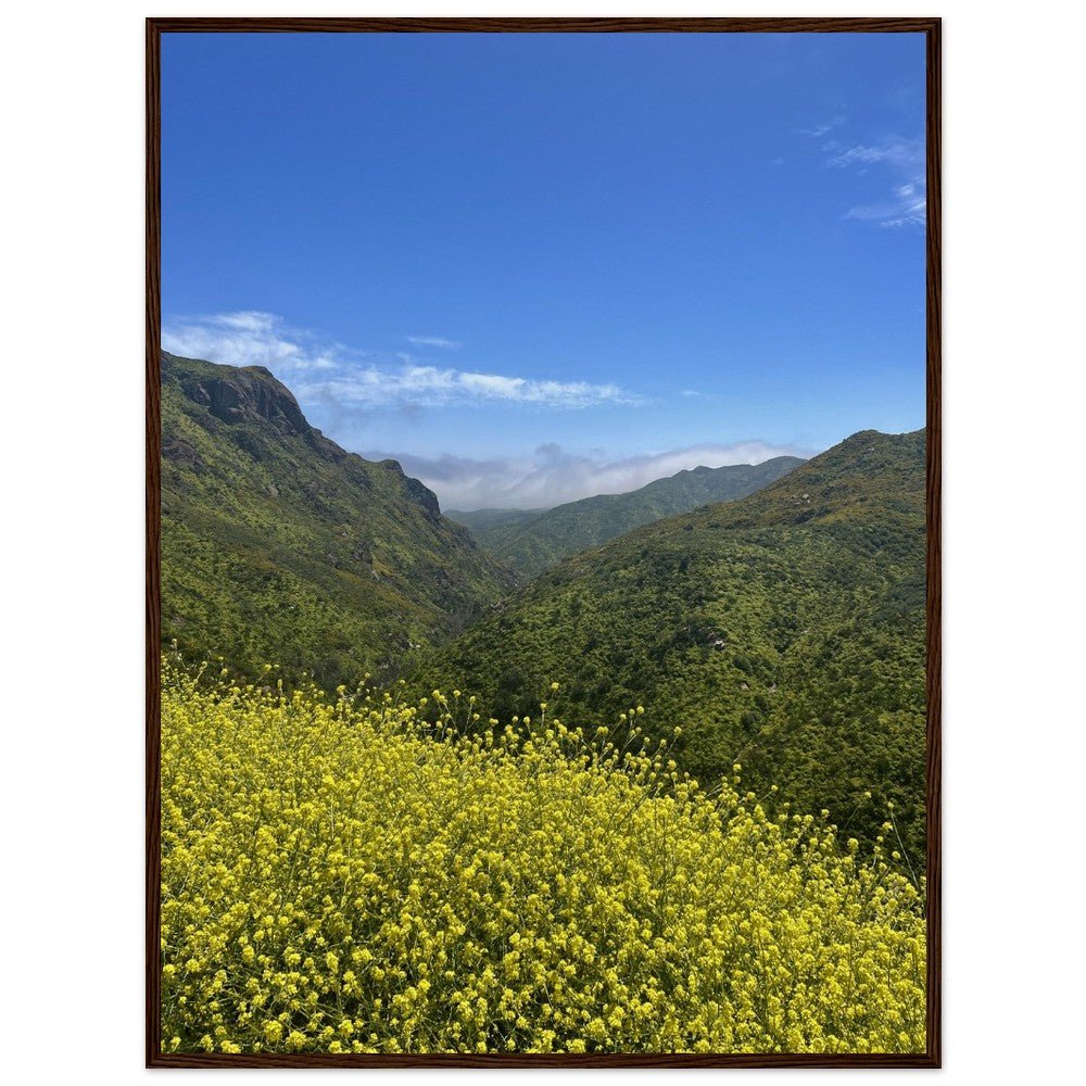 Wooden framed Malibu Canyon Wildflowers poster on museum-quality matte paper wall art, featuring California wildflower scene.