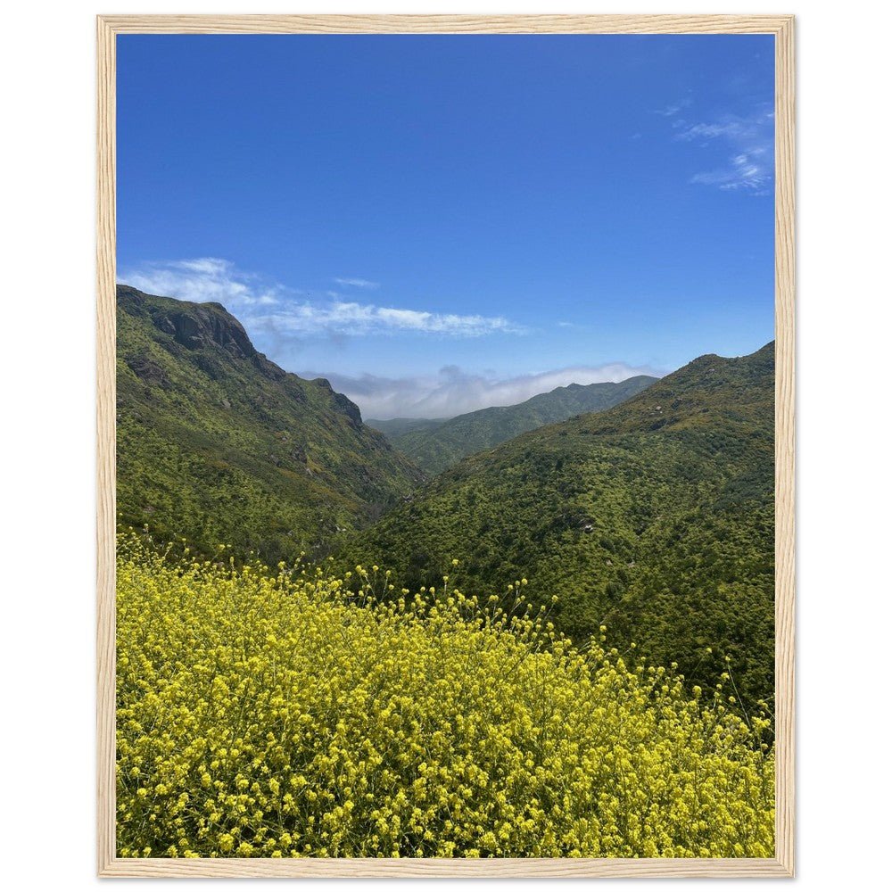 Wooden framed Malibu Canyon Wildflowers poster on museum-quality matte paper wall art, featuring vibrant California wildflower scene.