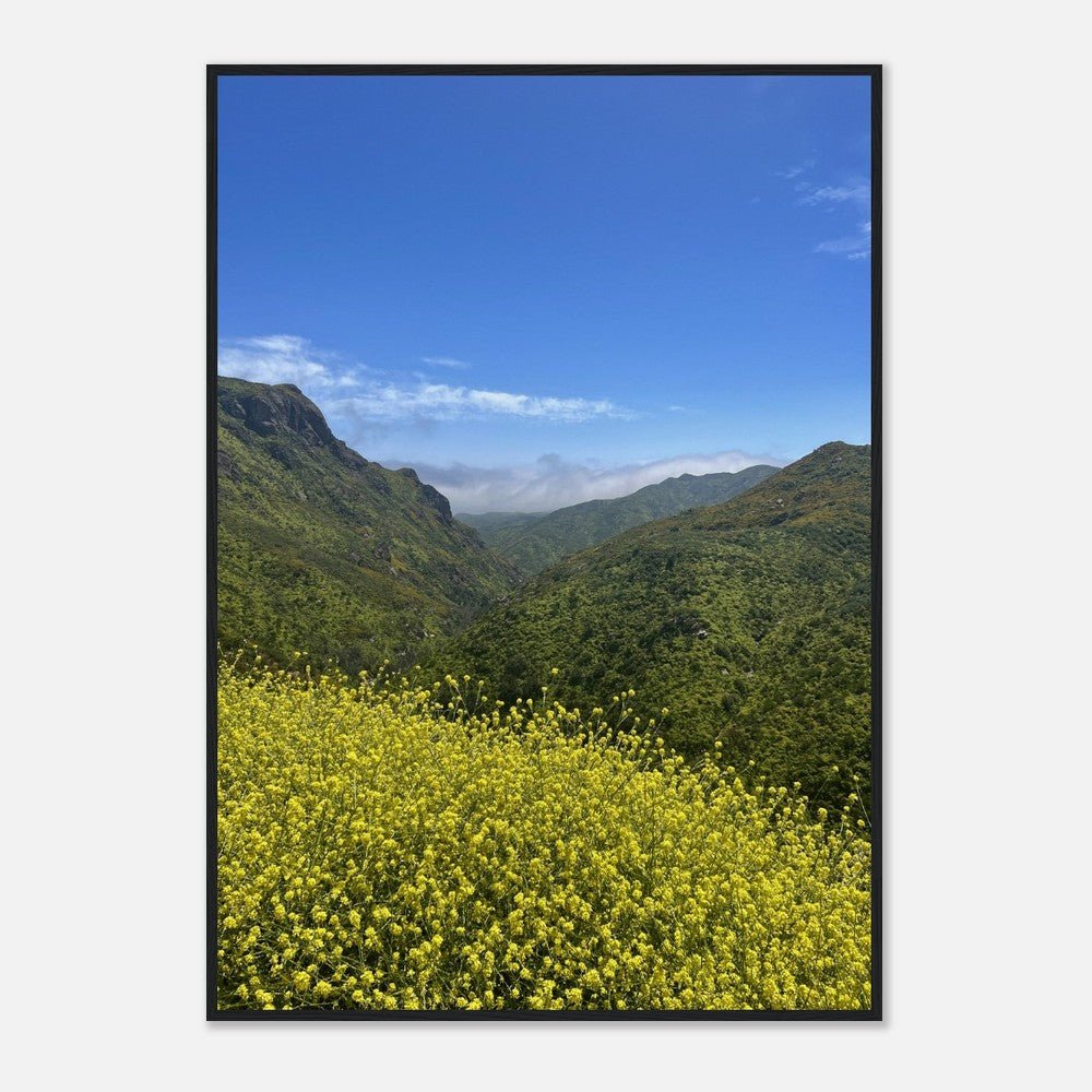 Wooden framed print of Malibu Canyon wildflowers on museum-quality matte paper, California poster art, studio edition.