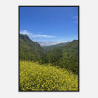 Wooden framed print of Malibu Canyon wildflowers on museum-quality matte paper, California poster art, studio edition.