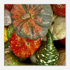 Vibrant Halloween wall art canvas featuring colorful, varied pumpkin illustrations for festive fall décor.