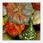 Halloween wall art canvas featuring vibrant pumpkins in various colors and shapes, part of the Harvest Vibes Collection.