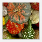 Colorful Halloween wall art canvas featuring vibrant pumpkins in various shapes, perfect for festive harvest décor.