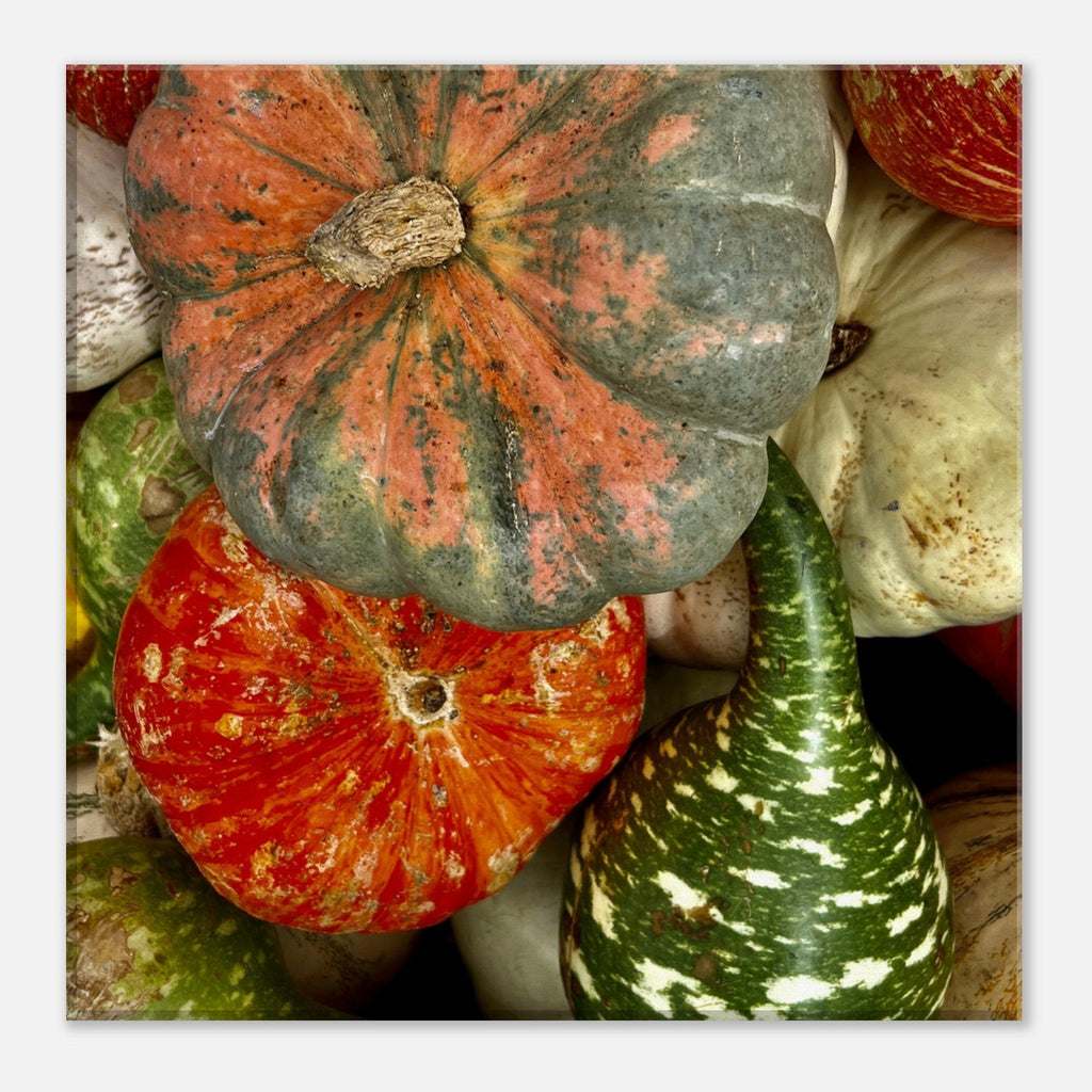 Vibrant Halloween wall art canvas featuring colorful pumpkins in various shapes, perfect for festive harvest décor.