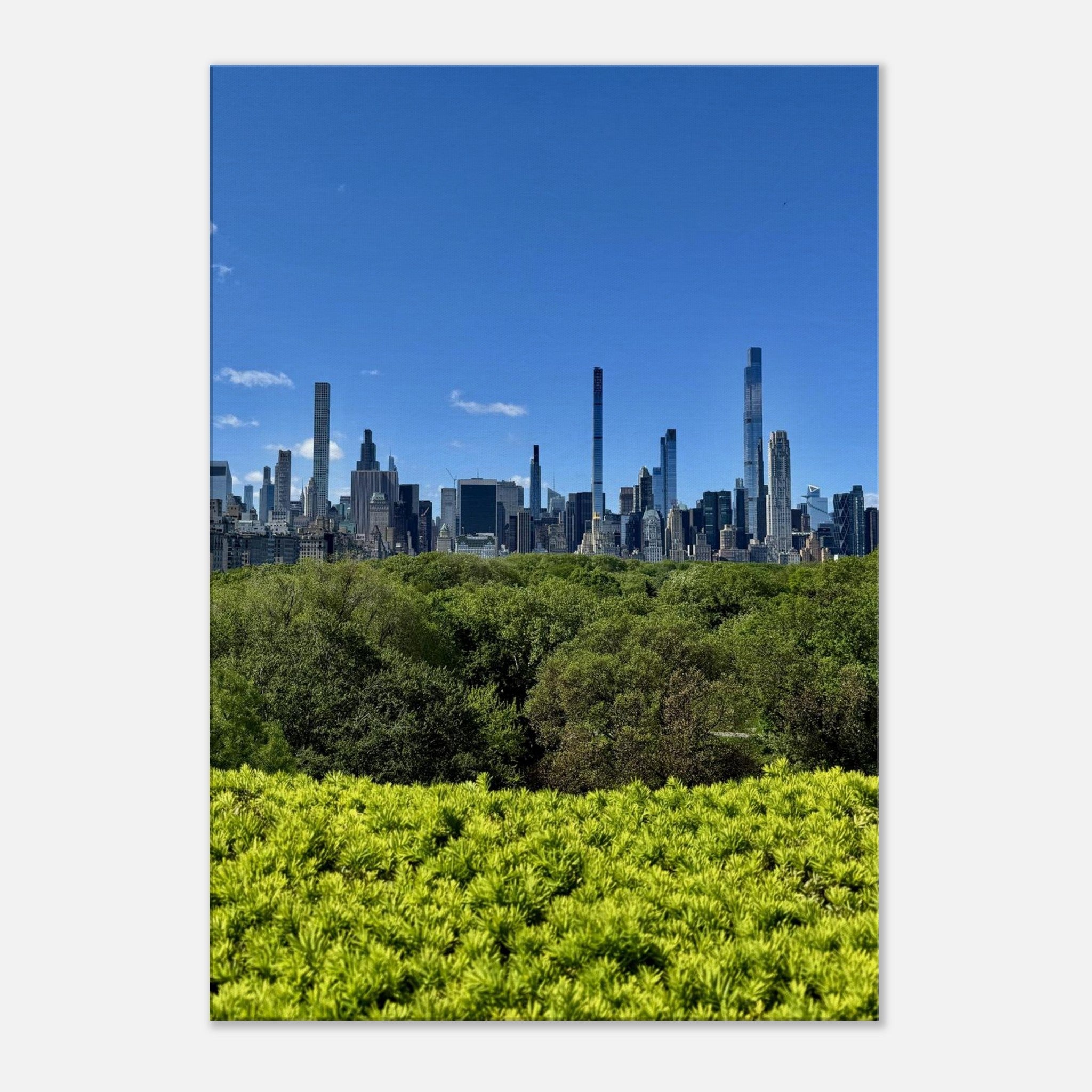 Stunning NYC Central Park Skyline Canvas Print - Spring Day Decor - Wall Art for Home & Office - CaliCuration